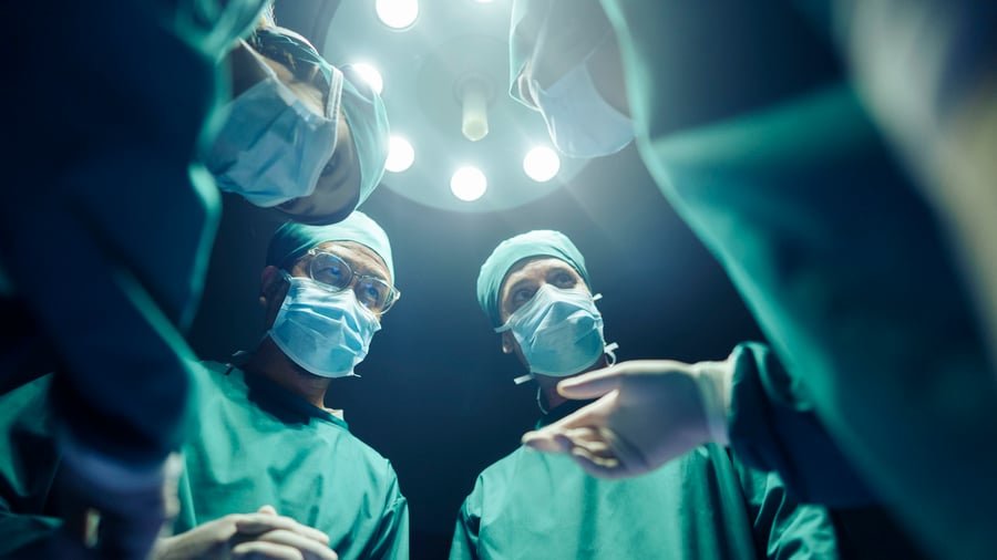 Berliner Start-up nutzt KI für Transplantationsvorhersagen