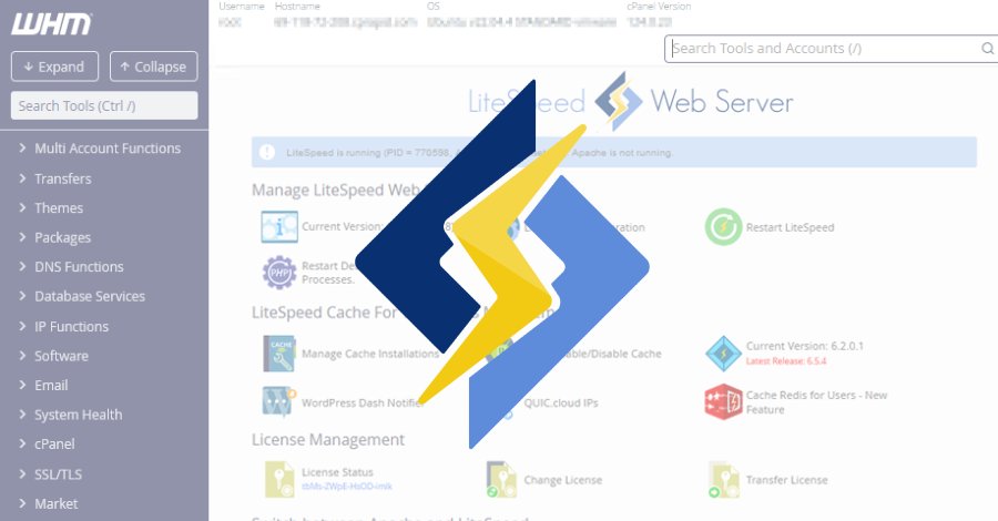 CVE-2026-48172: Kritische Sicherheitslücke in LiteSpeed