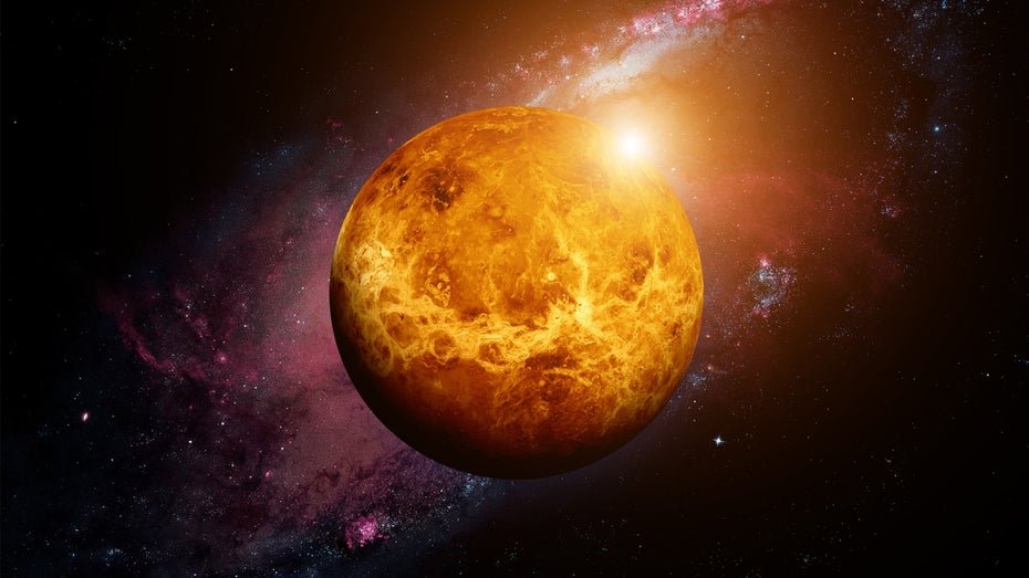 Leben auf der Venus: Ursprung von der Erde?