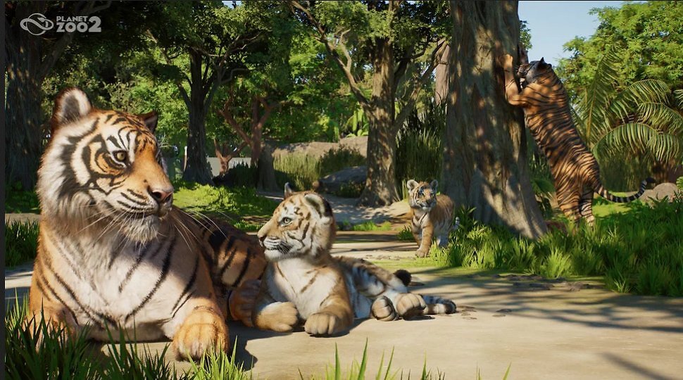 Nachfolger von Planet Zoo angekündigt