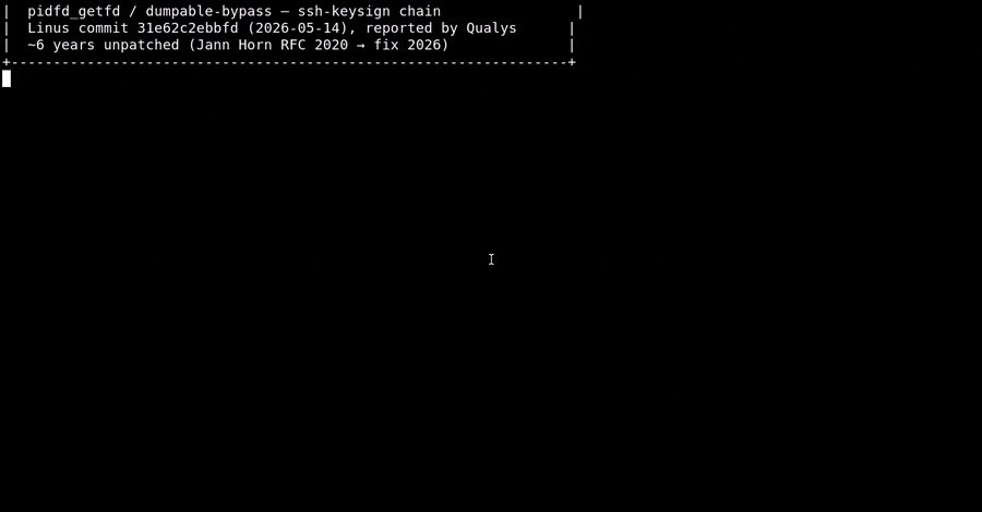 Neun Jahre unentdeckte Sicherheitslücke im Linux-Kernel