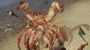 Path of Exile 2: Krabbe als tödlichster Gegner
