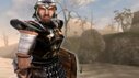 Debatte um Morrowind-Remaster entfacht unter Fans