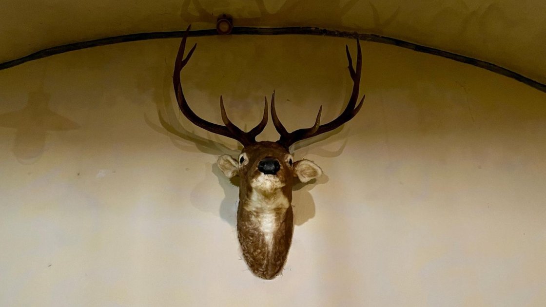 Martin Sellner spricht über Abschiebungen in Erfurt