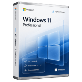 Microsoft Windows 11 Professional