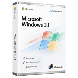 Microsoft Windows 3.1